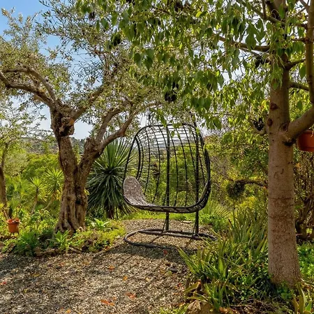Cubo's Violeta Rural House